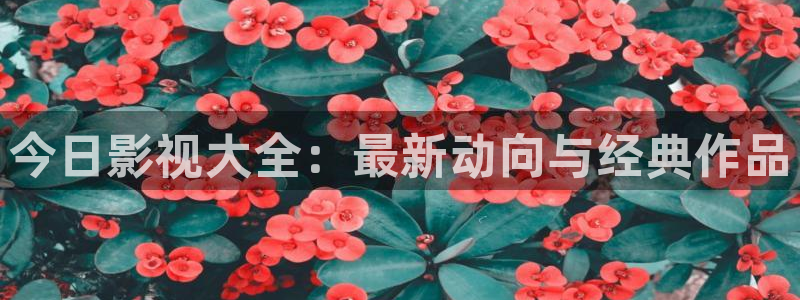 螞蟻影視 黑螞蟻：今日影視大全：最新動向與經典作品