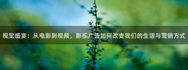 螞蟻影視黑螞蟻黃片：視覺盛宴：從電影到視頻，影視廣告如何改變我們的生活與營銷方式