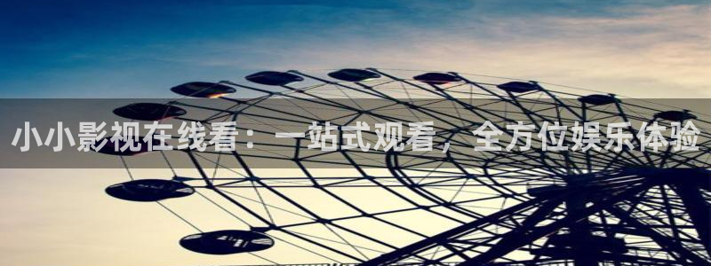 黑螞蟻影視電視劇官網(wǎng)：小小影視在線看：一站式觀看，全方位娛樂體驗(yàn)